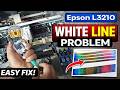 White Lines Appearing? Clean Your Epson L3210 Print Head