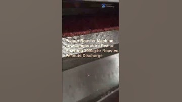 Peanut Roaster Machine Low Temperature Peanut Roasting 300kg Roasted Peanuts Discharge Nuts Roaster