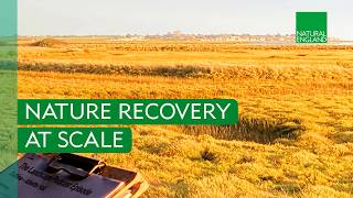 Nature Recovery at Scale: Abbotts Hall Farm