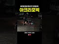 씨티에 널 태워 아크라포빅