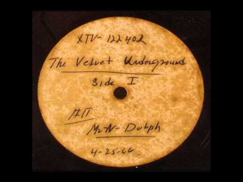 Velvet Underground & Nico- Unripened: The Norman D...