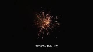 TXB503