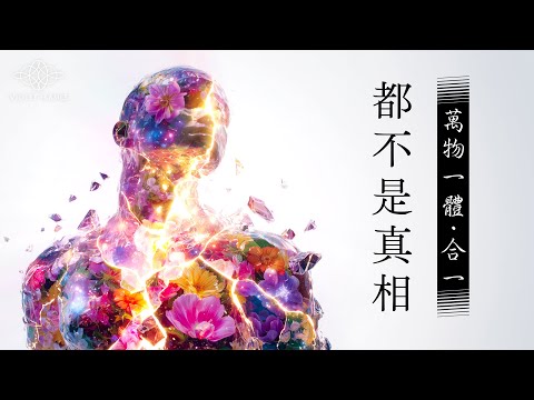 293：你還在認為「萬物一體、合一」嗎？修行路上、靈性圈許多人常說自己是整體的一部分、分裂出來的碎片，這些都還不是真相！只要還有「我與它」的概念，就還沒契入真正的實相！｜雙生紫焰