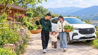 The Daily Life Of Thùy And The CEO—Harvesting Vegetables To Sell The Market & Having Dinner Together