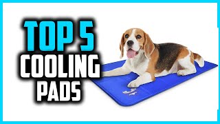 ✅Best Cooling Pads for Dogs in 2024 screenshot 2