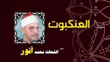 084  القران الكريم بصوت الشيخ الشحات محمد انور  سورة العنكبوت