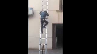 4.4m Single Telescopic ladder with Finger Protector Device Made by Goldgile.