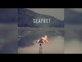 Seafret - Bad Blood
