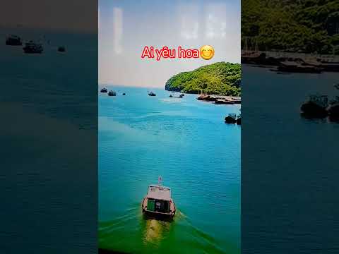 Ai yêu hoa vào đây ngắm 😊🥰♥️