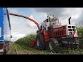 Cornfest Giethoorn | Classic maize harvest 2019 | Steyr 8300 & FOX Max II + many more