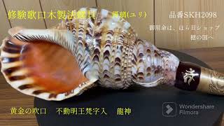 法螺貝 約43.5㎝ 木製歌口,新品 MH-479 法螺貝（ほら貝）販売のお店