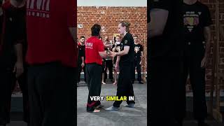 Wing Tsun video series 2. The adaptive cycle  Guide