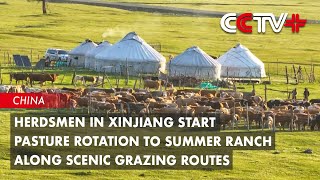 Herdsmen In Xinjiang Start Pasture Rotation To Summer Ranch Along Scenic Grazing Routes