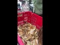 BEE ZONE Official Live Stream