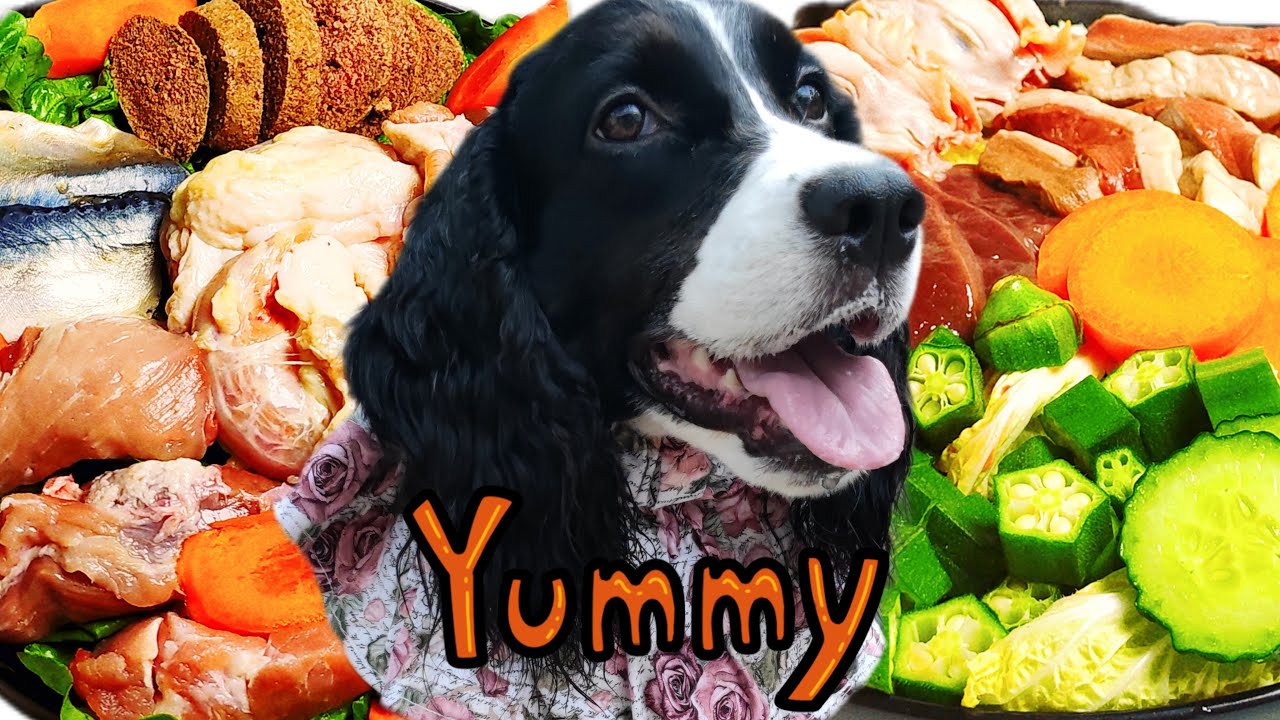 20 Minutes of Dog Eating ASMR Mukbang 🐶 | Relaxing Dog Chewing Sounds & White Noise for Deep Sleep