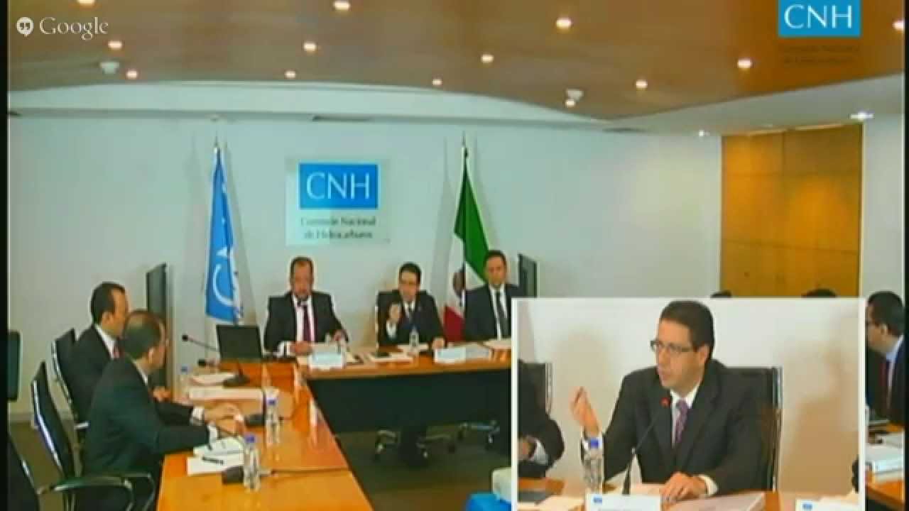 9ª Sesión Ordinaria del Órgano de Gobierno CNH (29/05/2015) mayonnaise