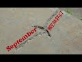 September Breakfast | Cinematic | Short Film