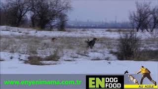 Ali̇ Acele Del Sangari̇os Anadolu Eği̇ti̇m Turlari 2020 Dağ Orman Avlari Fi̇ltri̇al Eği̇ti̇m Ve Rehabli̇te Çl