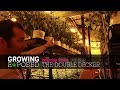 Growing Exposed - Episode 3 - The Double Decker - GARDEN TOUR