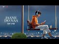 Jaane Do Naa (Lofi Flip) | Asha Bhosle | Shailendra Singh | Saagar