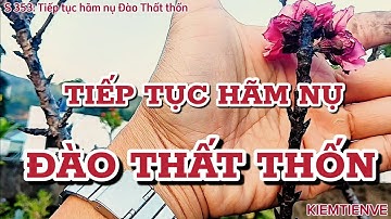 TIẾP TỤC HÃM NỤ ĐÀO THẤT THỐN
