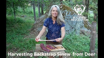 Harvesting Backstrap Sinew (and why it