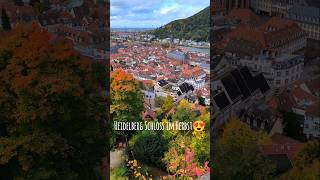 Heidelberg Schloß Im Herbst Heidelberg Castle
