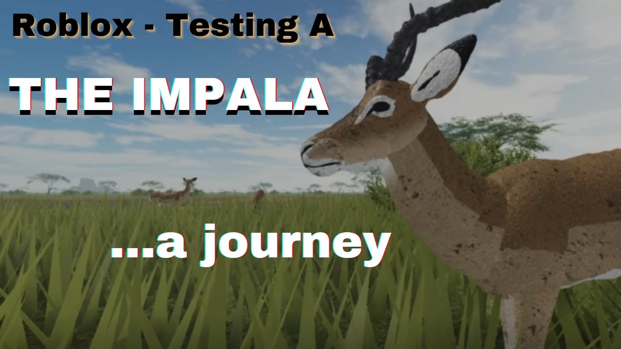 Roblox Testing A The Impala A Journey Free Cam Mini Movie Youtube - roblox wild savannah impala jousting funnycattv