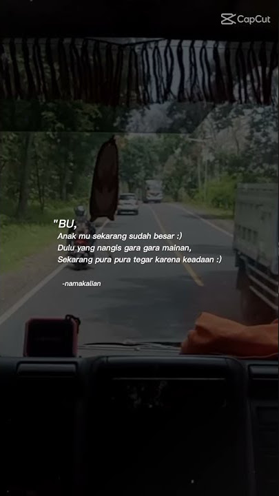story wa supir truk