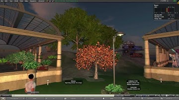 Second Life - I Discovered Singularity.