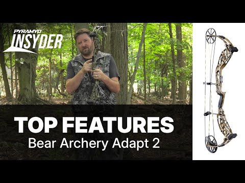 🐻Bear Adapt 2 Review: Top 3 Features!