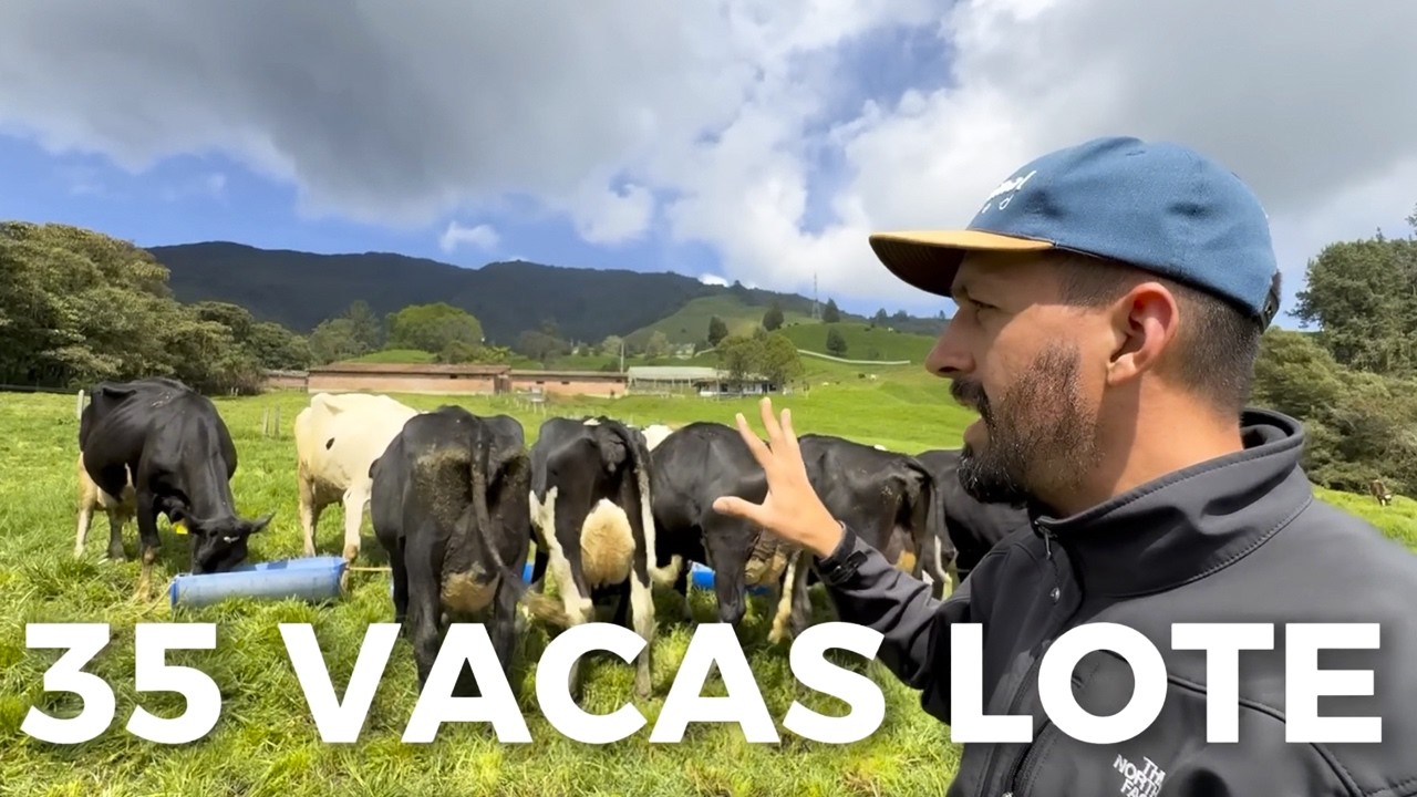 38 LITROS POR VACA Y GENÉTICA DE ALTO RENDIMIENTO