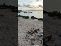 Abrasi itu Nyata. Ulah Manusia atau natural? #bali #beach #nusapenida #fyp