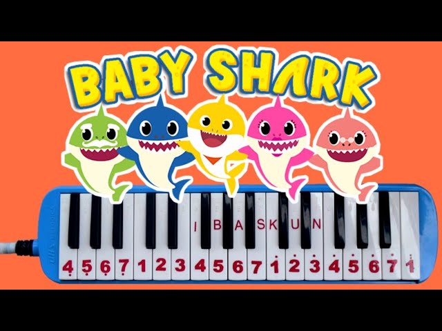 Not pianika baby shark