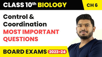 Control and Coordination - Most Important Questions | Class 10 Science Chapter 6