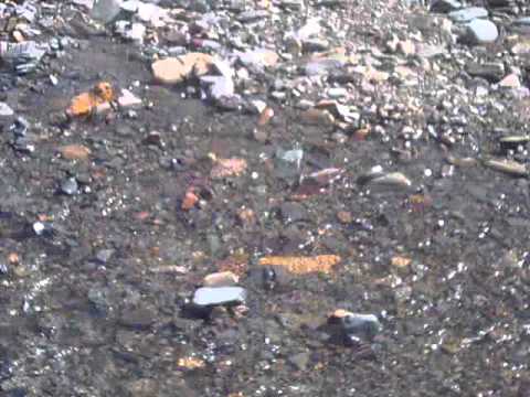 Rio Muerto - Horcomolle - Tucuman
