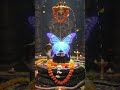 Om namah Shivaya |#trending #viral #harharmahadev