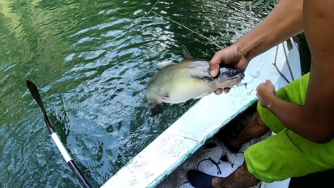 Tecnica de Pesca Con Colgados Muy Efectiva - YouTube