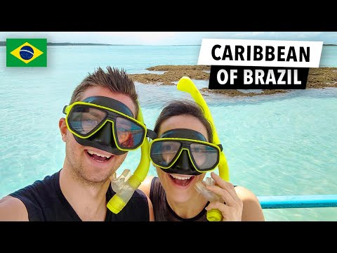 🇧🇷 Adventure Vlog Brazil - Maragogi Alagoas