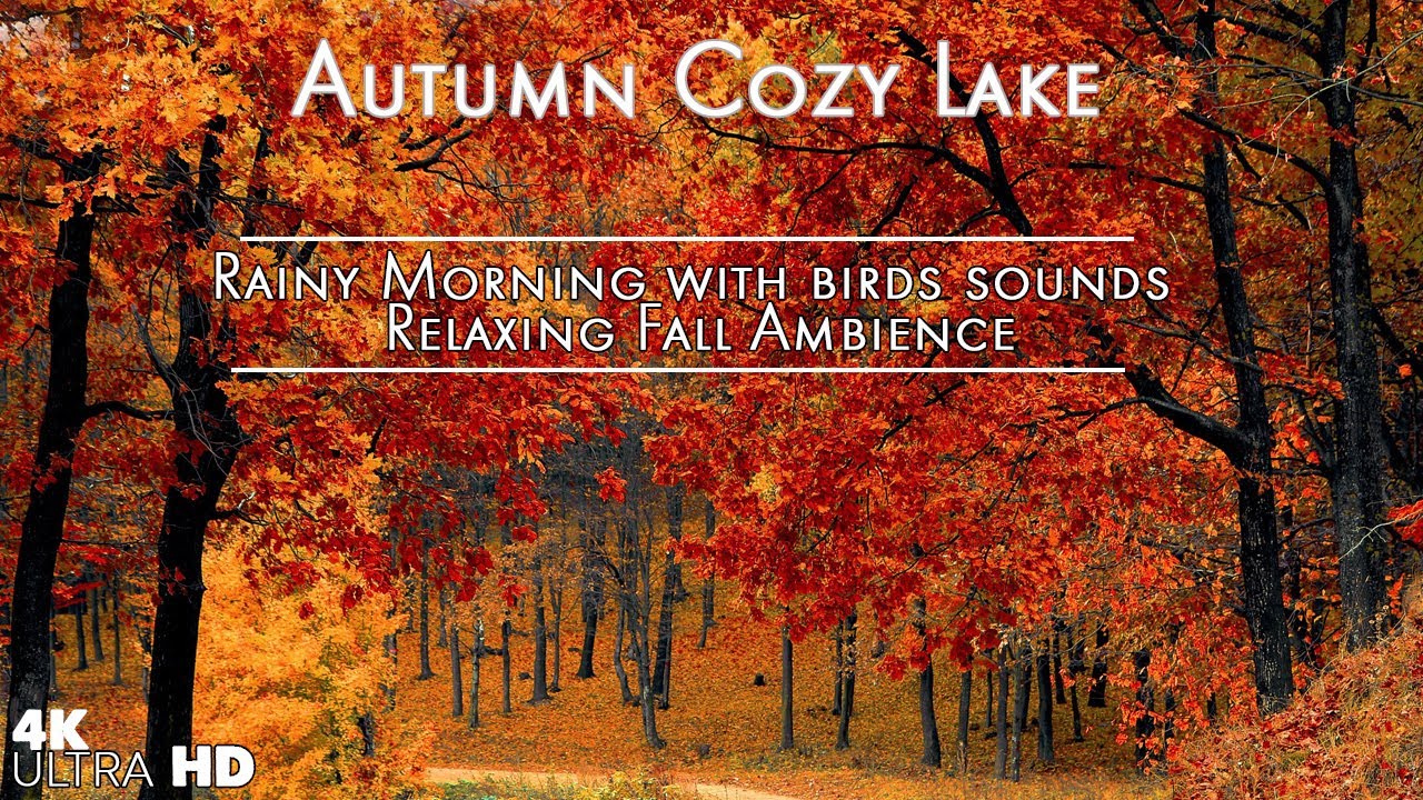 Fall Sounds Autumn Cozy Lake in Rainy Morning with birds sounds, Relaxing Fall ...