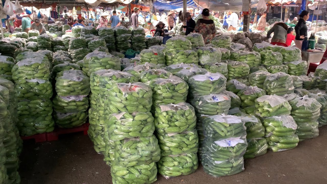 giá bán sỉ BẦU BÍ,DƯA LEO,KHỔ QUA,tại chợ đầu mối hóc môn,RẺ SẬP SÀN