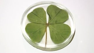 DIY Four-leaf Clover Coin / Resin Art
