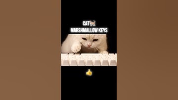 White Cat Types on a Marshmallow Keyboard — Airy Squish ASMR