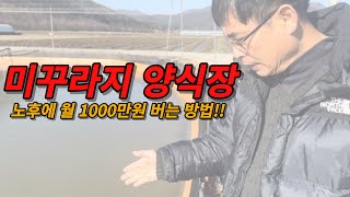 노후에 월 1000만원 버는 방법 알아보자 feat.미꾸라지