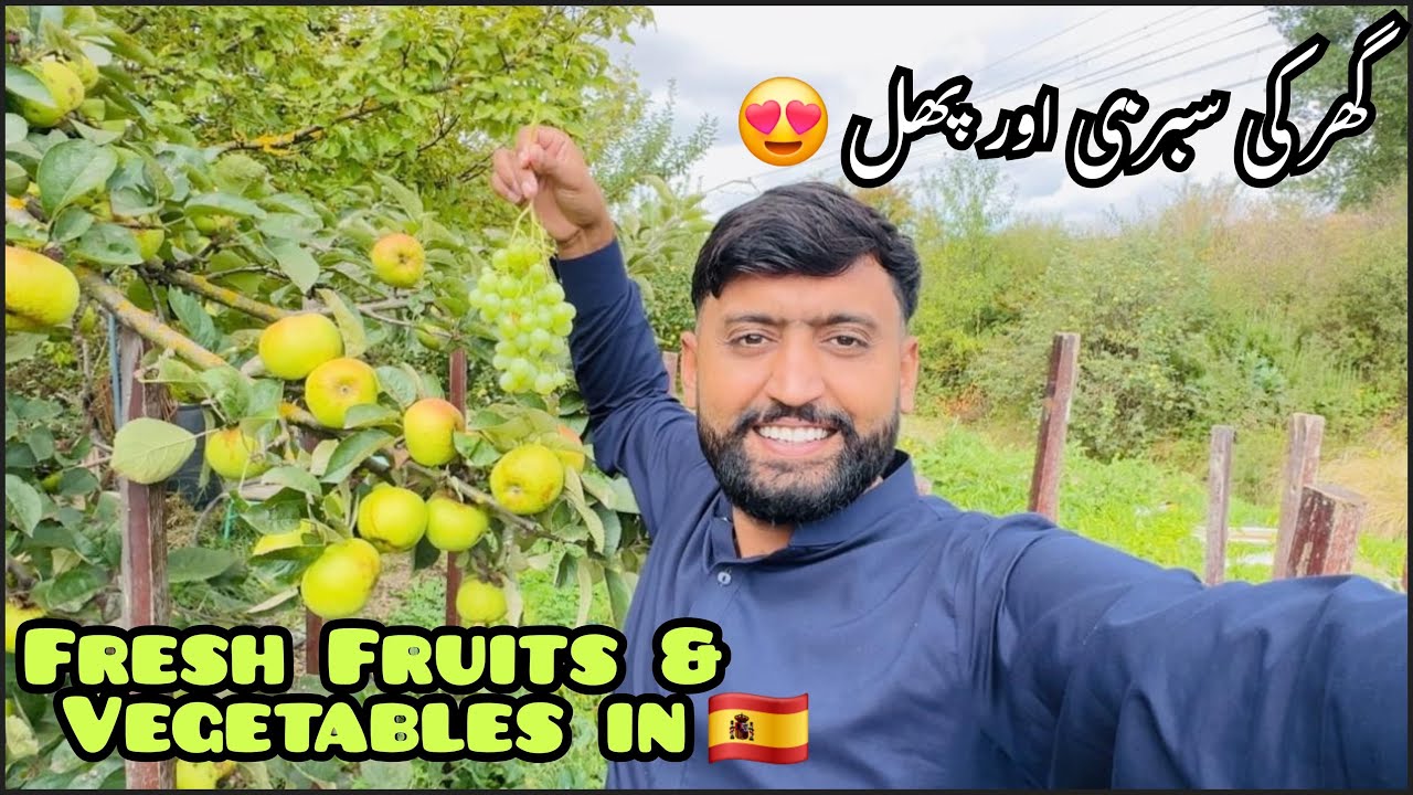 Spain 🇪🇸 ma gar ki sabzi🍆🥦🫑or fruit 🍇🍏🍎 lagya howa hai😍😍| bhaiyun sy mulaqat 🥰🥰