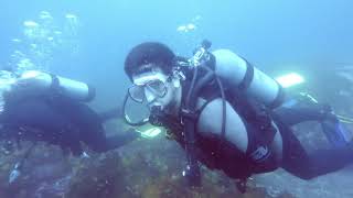 Sullivans reef