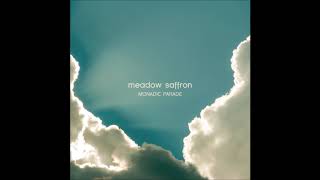MEADOW SAFFRON - Hire, Hire (official audio)