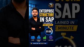 Enterprise Structure in SAP Explained in 1 Minute. Company code, sales area, plant, storage location