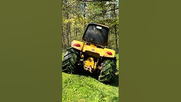 Cub Cadet 147 - Mowing Pics #cubcadet #masseysnmaples #lawncare #lawnmaintenance #likeandsubscribe