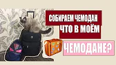 Zarochentseva Blog